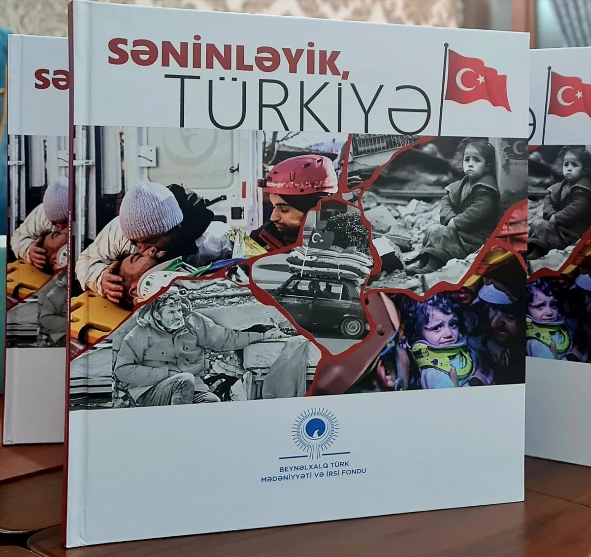 Uluslararası Türk Kültür ve Miras Vakfı tarafından 'Seninleyiz Türkiye' adlı antoloji yayımlandı