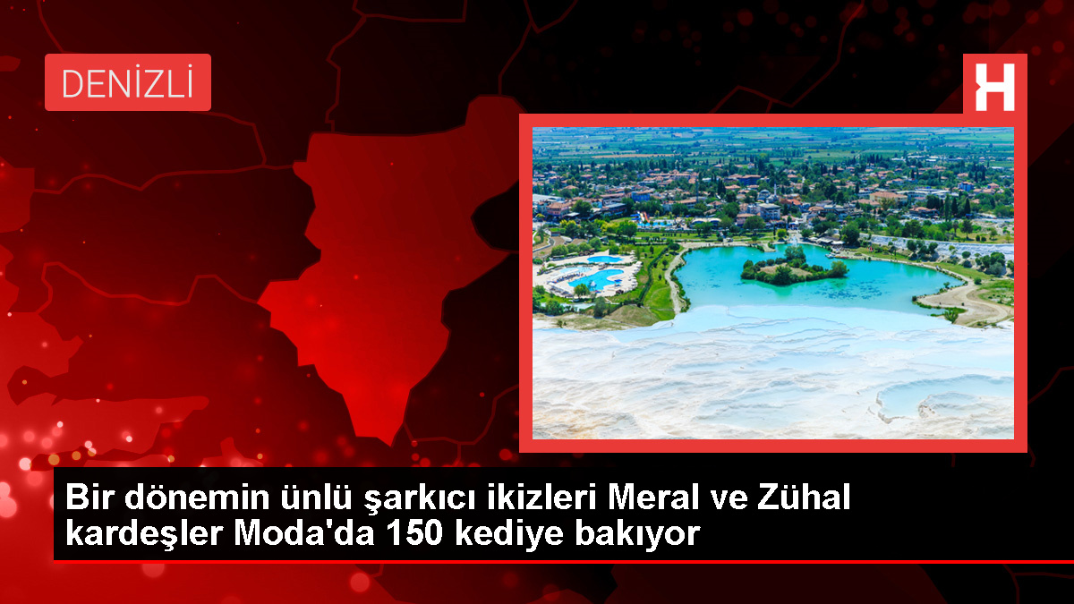 Ünlü ikizler Meral ve Zuhal kardeşler, Kadıköy Moda sokaklarında 150 kediye bakıyor