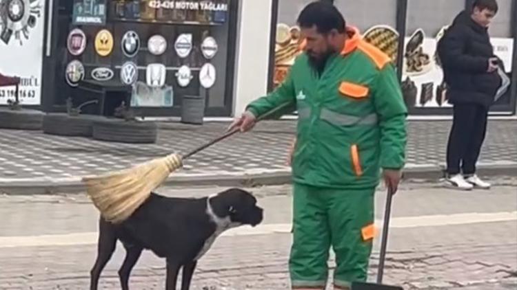 Bursa'da kalpleri ısıtan görüntü: Köpeği önce süpürgeyle kaşıdı sonra sevdi