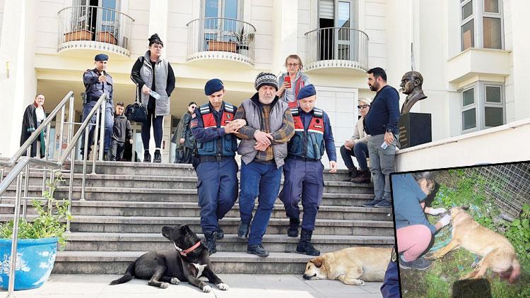 ‘Akyarlar canisi’ tutuklandı