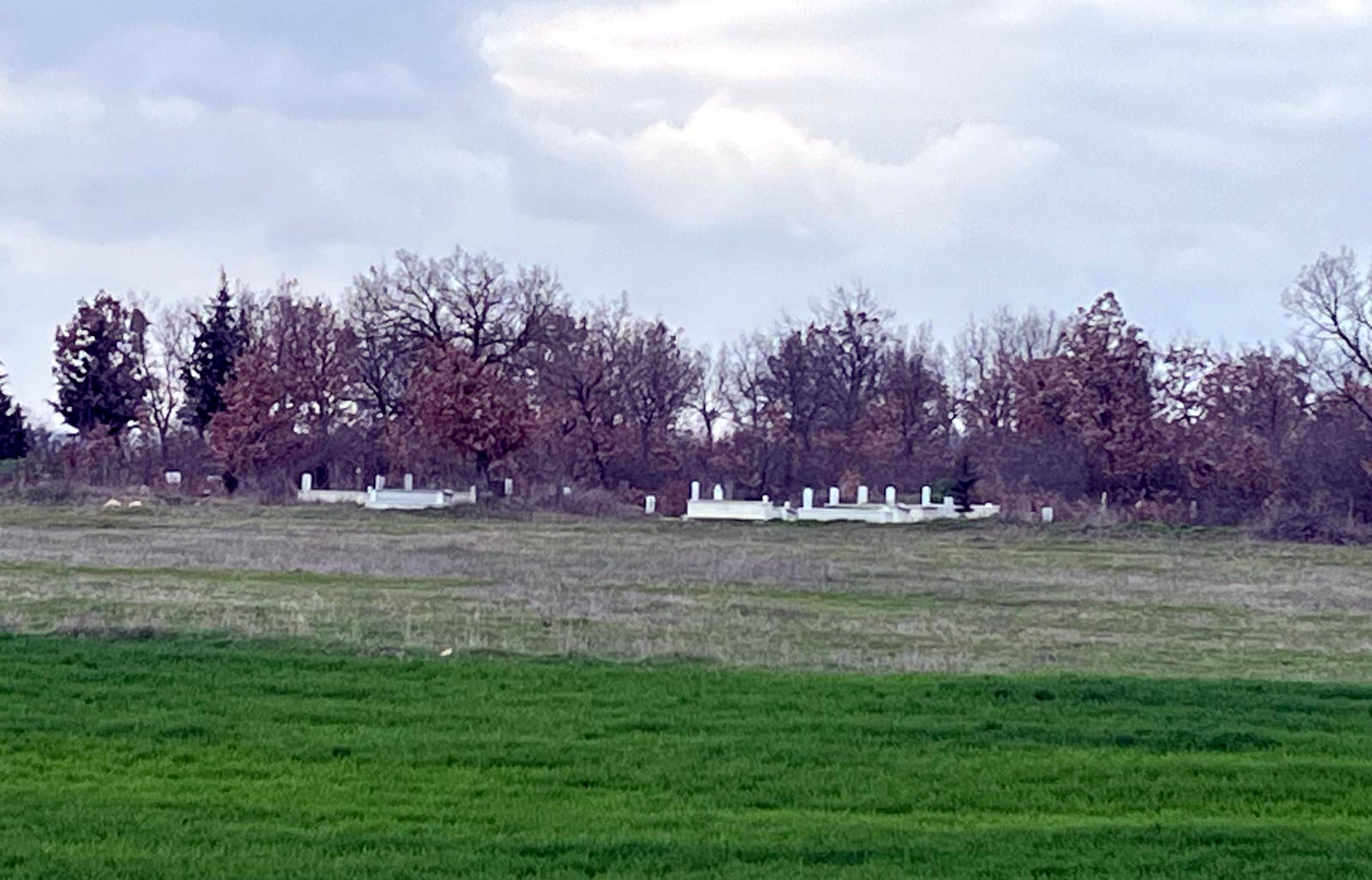 Emekli polis, oğlu ve eşini öldürüp tarlasına gömdü