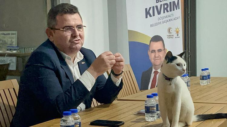 Kedi masaya çıktı, başkan adayının anlattığı vaat dikkat çekti