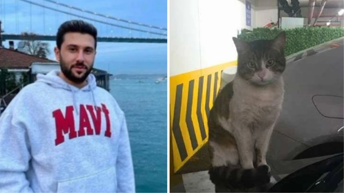 Kedi "Eros"u öldüren sanık hakkındaki karara savcılıktan itiraz