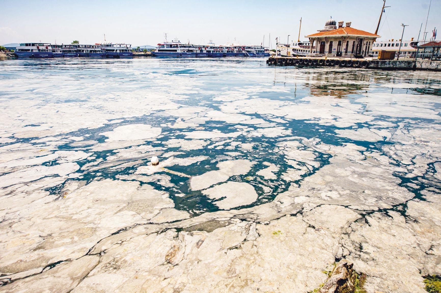 Marmara’da müsilaj tehlikesi