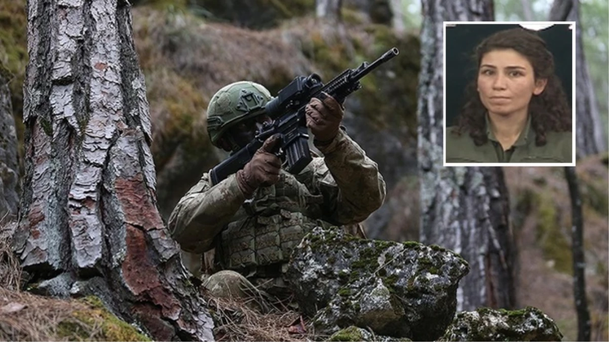 MİT, PKK/KCK sözde sorumlusu Rojda Bilen'i etkisiz hale getirdi