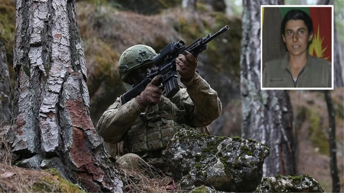 MİT, PKK'nın sözde sorumlusu Gülsün Silgir'i etkisiz hale getirdi