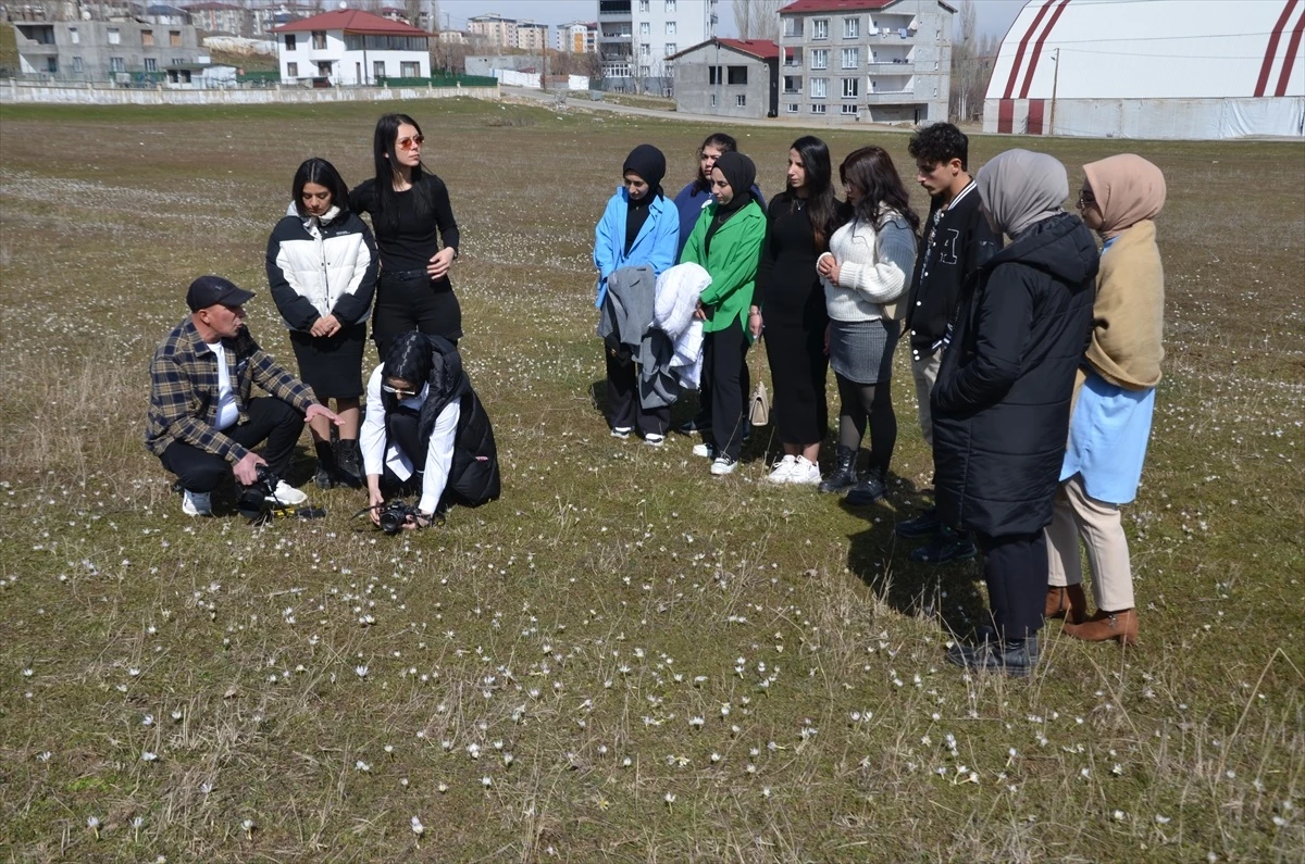 Muş'ta Kardelenlerin Çiçek Açtığı Bölge Fotoğraflandı