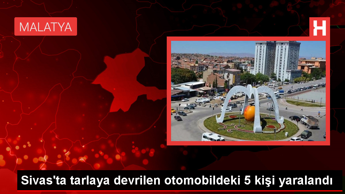 Sivas'ın Kangal ilçesinde tarlaya devrilen otomobilde 5 kişi yaralandı