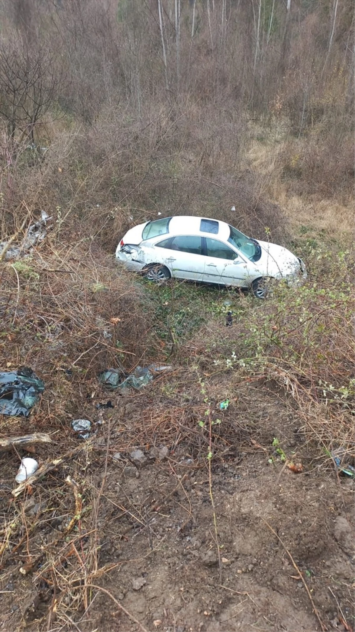 Tokat'ta tarlaya düşen otomobildeki 3 İranlı yaralandı