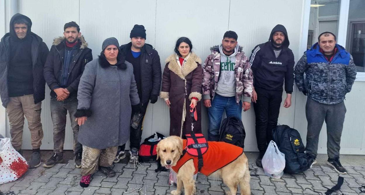 Yunanistan'a kaçmaya çalışırken rehber köpeği ile yakalandı