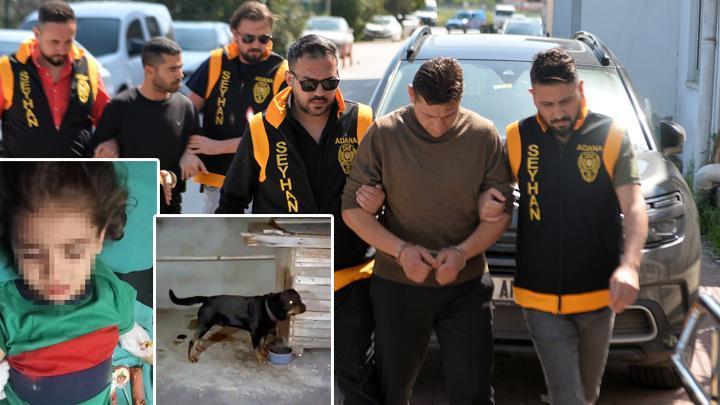 Adana'da 4 yaşındaki çocuk, köpek saldırısında yaralandı! 2 kişi gözaltına alındı