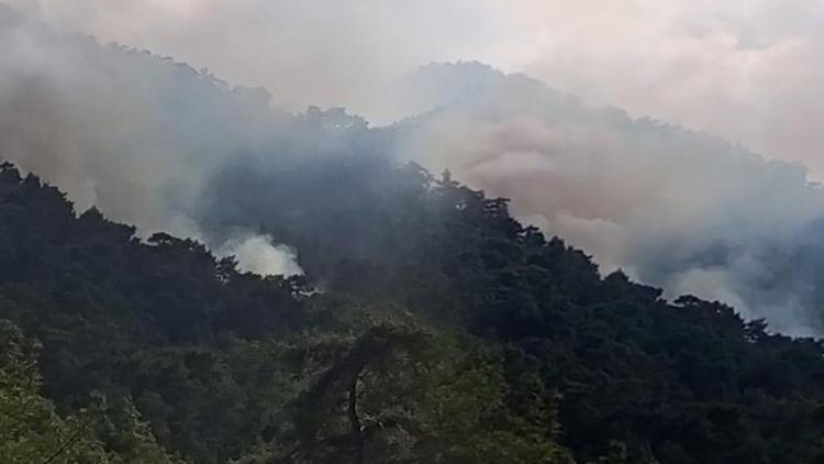 Antalya'nın Kemer ilçesinde orman yangını