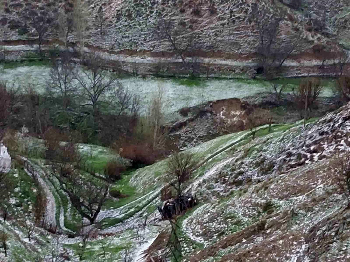 Bingöl'de otomobil şarampole yuvarlandı, 5 kişi yaralandı