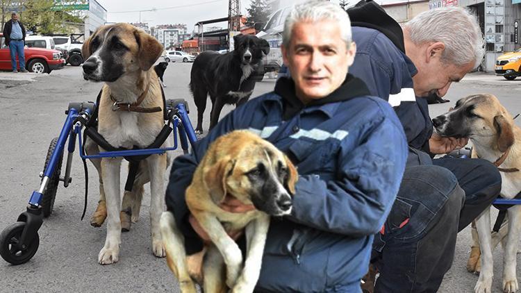 İyi ki varsın Şakir Usta! Sakat kalan köpeğine 4 tekerli yürüteç yapıp onu hayata bağladı