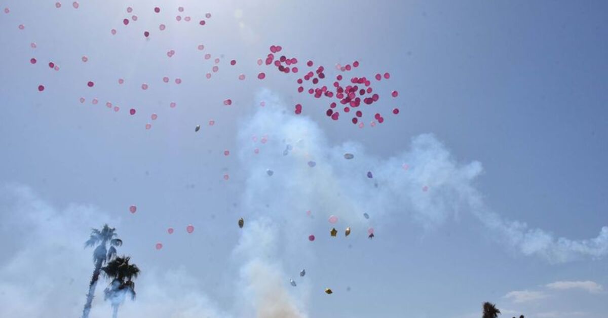 Kampanyası yüzde 100'e ulaşan SMA'lı Mihra için pembe balonlar gökyüzüne bırakıldı - Haberler