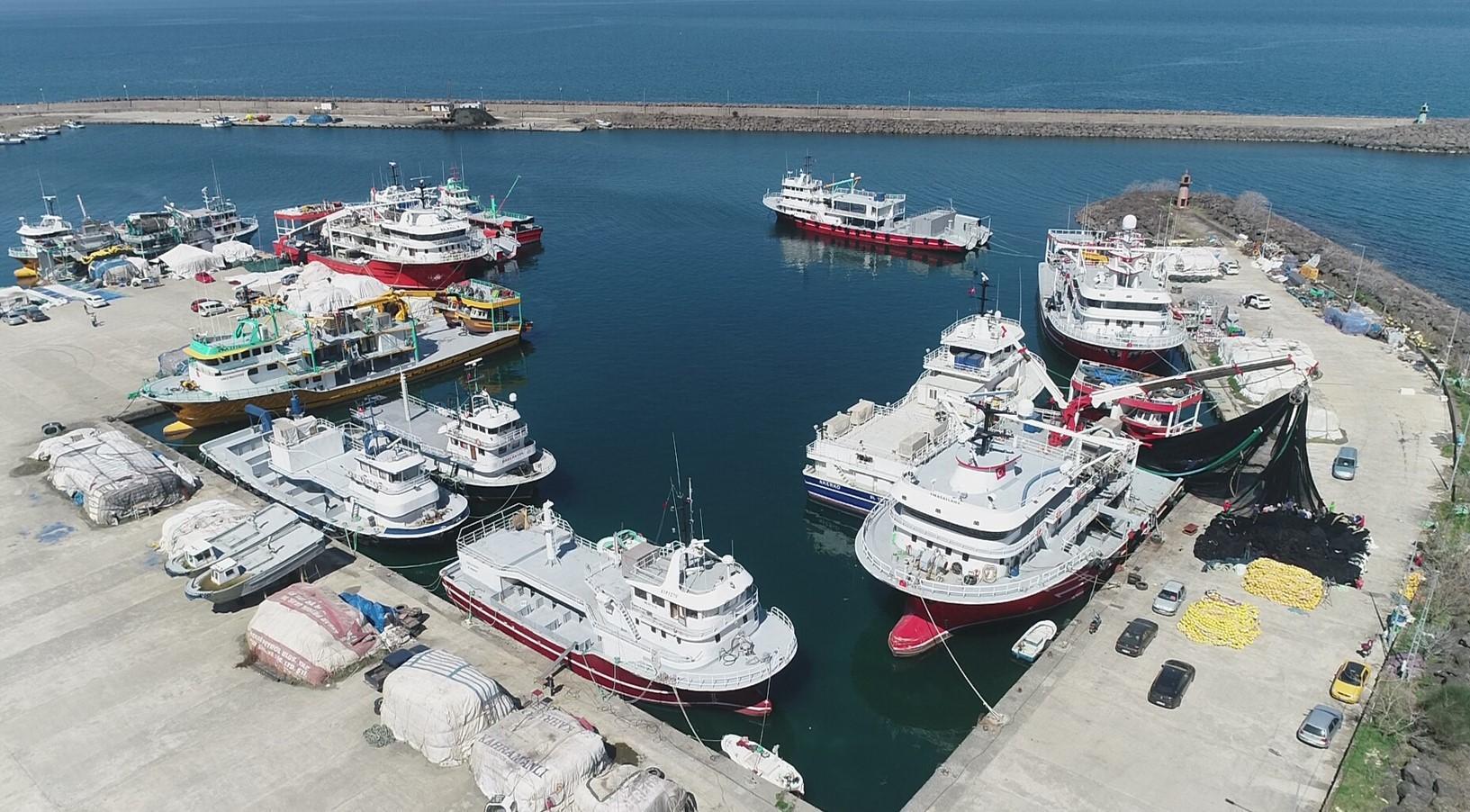 Karadeniz'de ağlar erken toplandı! Birçok balığın nesli telike altında