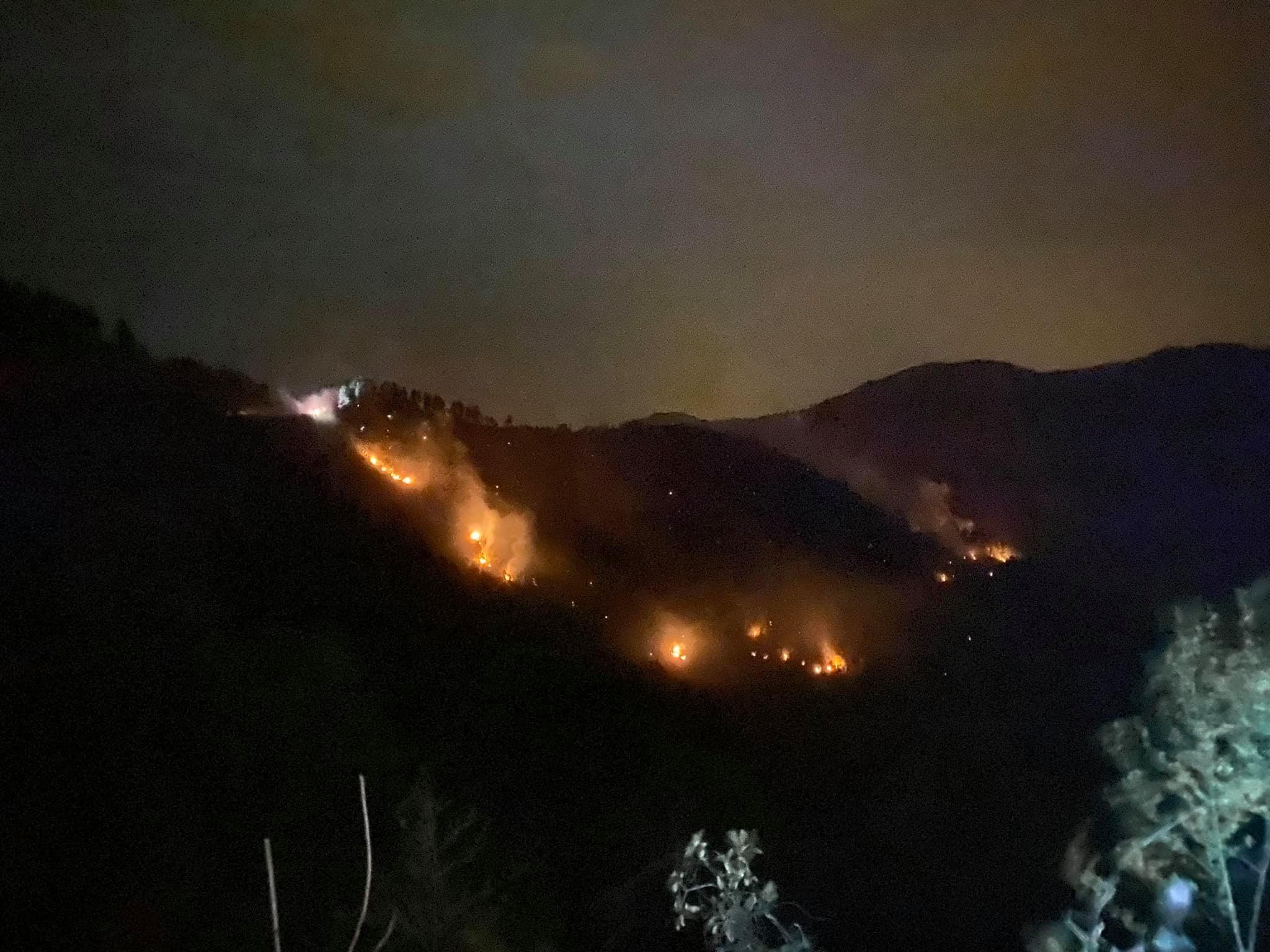 Karadeniz'deki yangınlarda artış tehlikesi: Ormanlarımızı sağlıklı hale getirmeliyiz