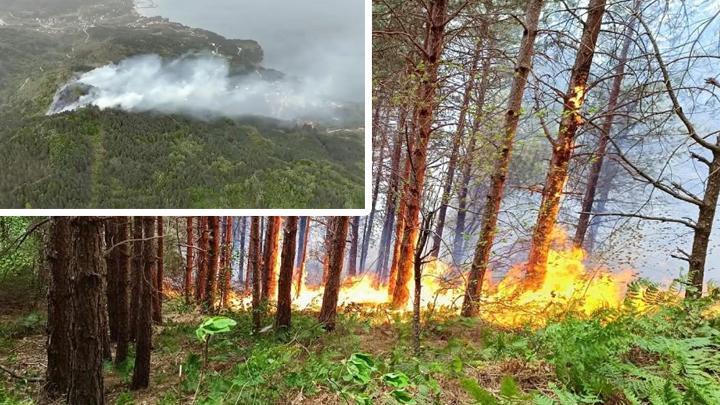 Kastamonu'da korkutan orman yangını: Müdahale ediliyor