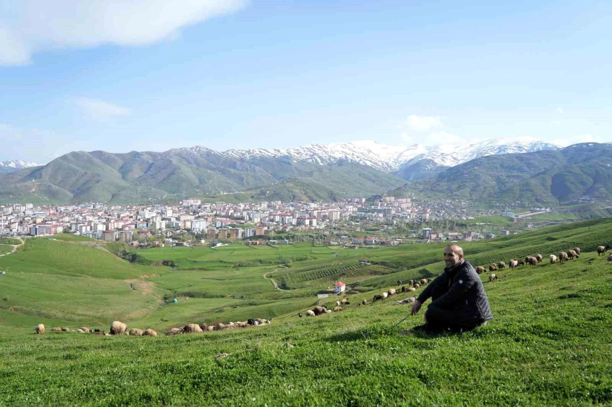 Kaval olmadan kaval sesi çıkaran Muşlu eski çoban