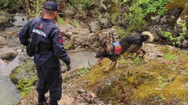 Özel eğitimli kadavra arama köpeği 'Denek', Korhan Berzeg'in izini sürüyor