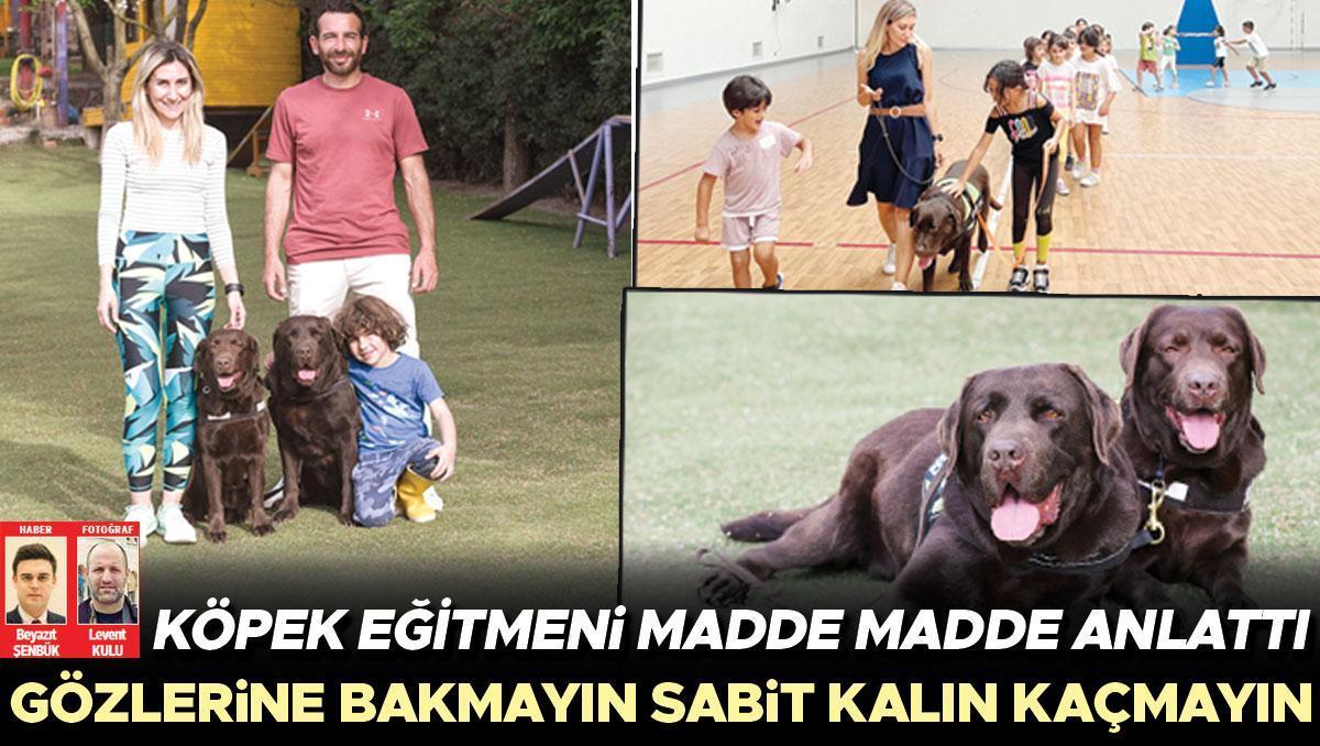 Sokak köpeği saldırısından nasıl korunuruz... Gözlerine bakmayın, sabit kalın, kaçmayın