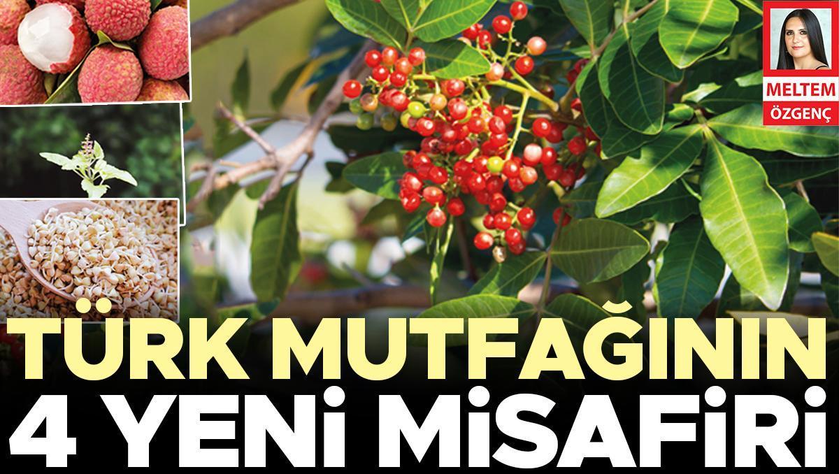 Türk mutfağının 4 yeni misafiri