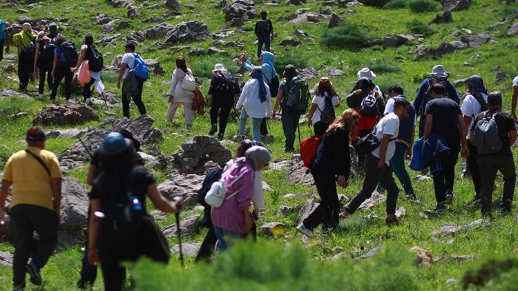 20 gün ömrü olan çiçeği görmek için şehir dışından gelip dağın zirvesine tırmandılar