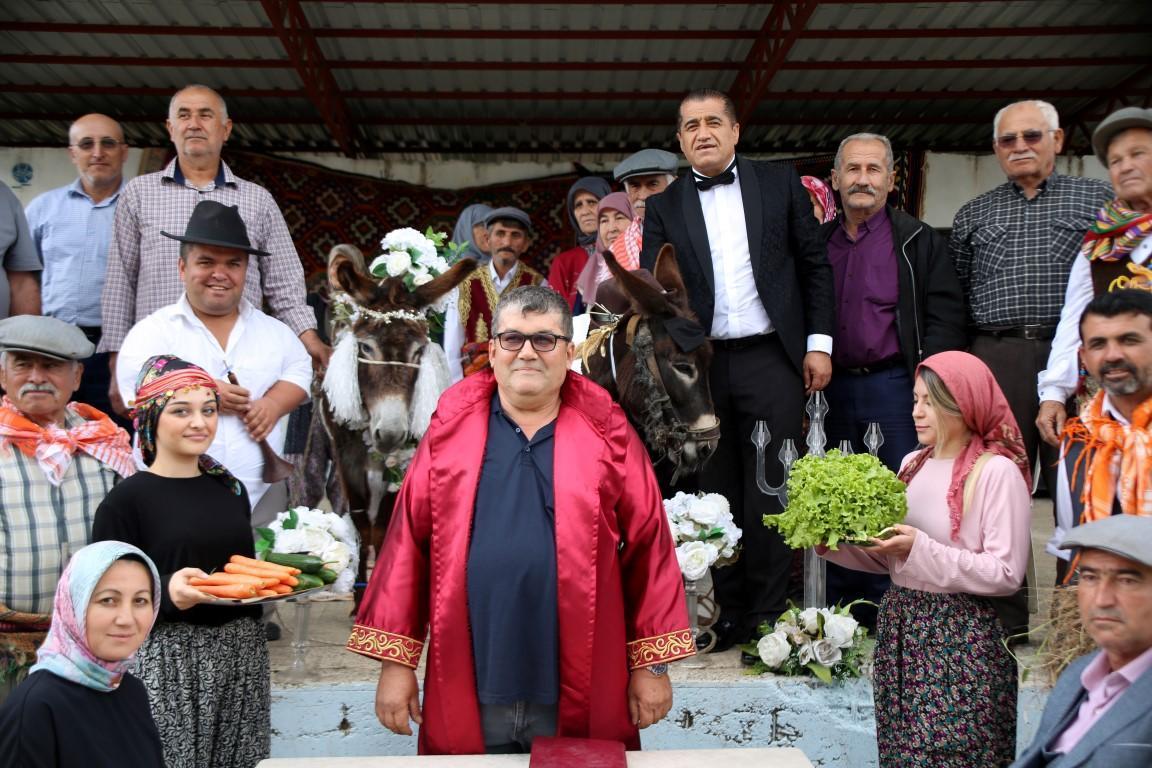 Antalya'da ilginç olay.... 'Nesli tükenmesin' diye eşeklere sembolik nikah kıydılar