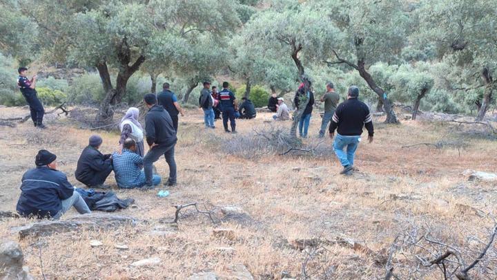 Aydın'da kayıp koyunlarını aramak için evden çıkmıştı! Ölü bulundu