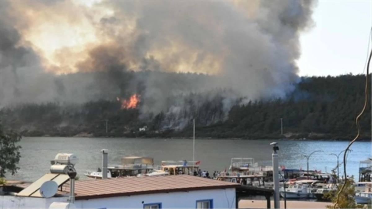 Bodrum'da ormanı 100 bin liraya yakan PKK'lı terörist iki kez müebbet yedi