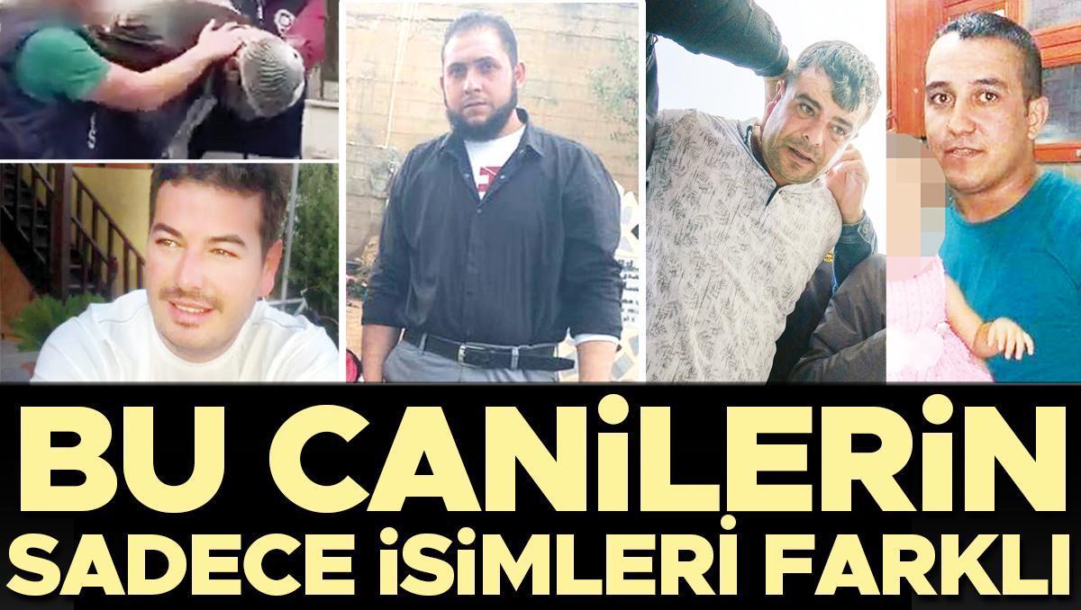 Bu canilerin sadece isimleri farklı