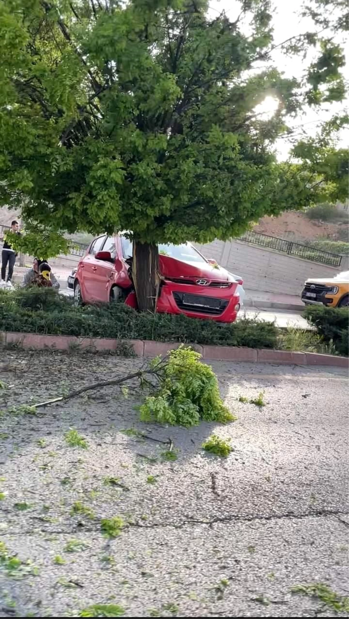 Elazığ'da Kontrolden Çıkan Otomobilin Ağaca Çarpması Sonucu 3 Kişi Yaralandı