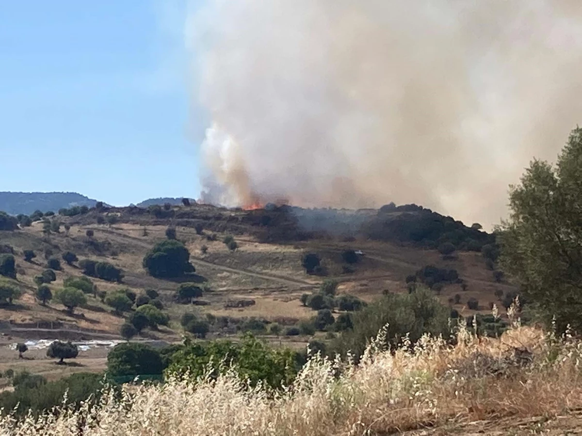 Foça'da çıkan yangın kontrol altına alındı