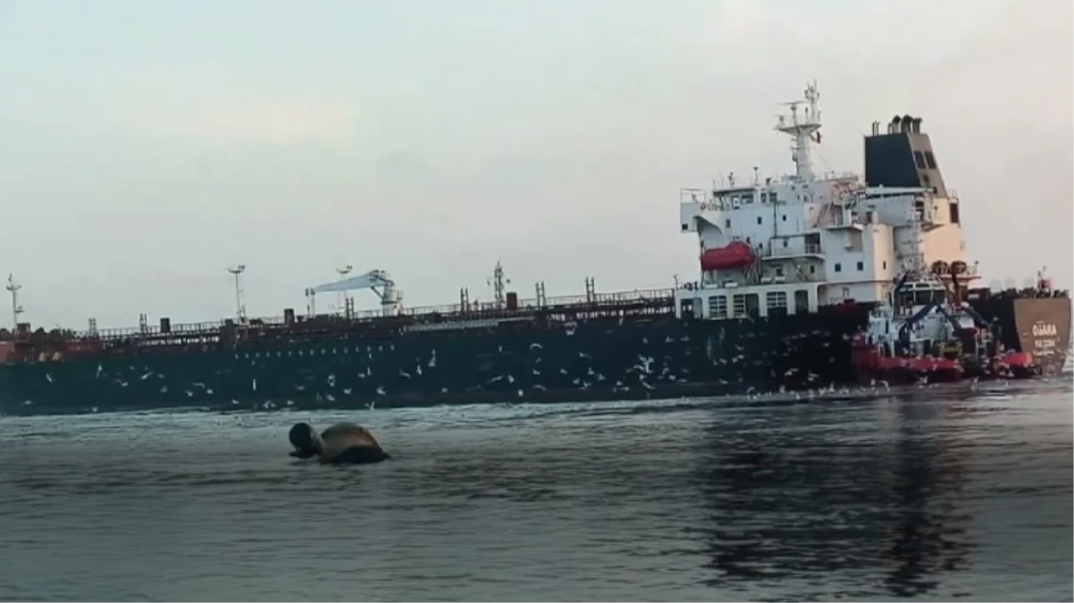 İstanbul Boğazı'nda "Osaka" alarmı! 40 bin ton petrol taşıyan tanker dümen arızası nedeniyle sürüklendi