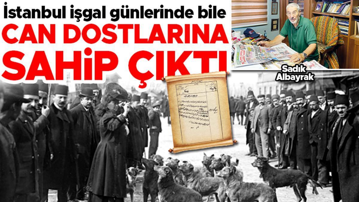 İstanbul işgal günlerinde bile can dostlarına sahip çıktı