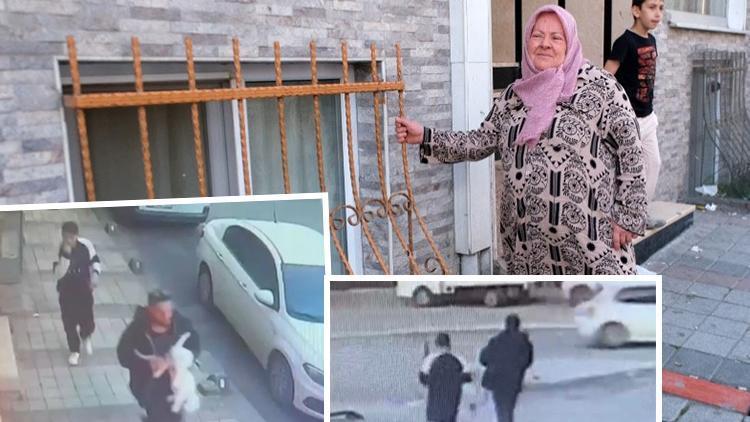 İstanbul'da 'pes' dedirten olay! Vefat eden eşinden yadigardı: Pencereden uzanıp çaldılar