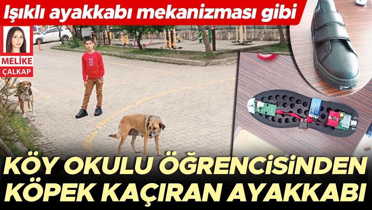 Köy okulu öğrencisinden köpek kaçıran ayakkabı