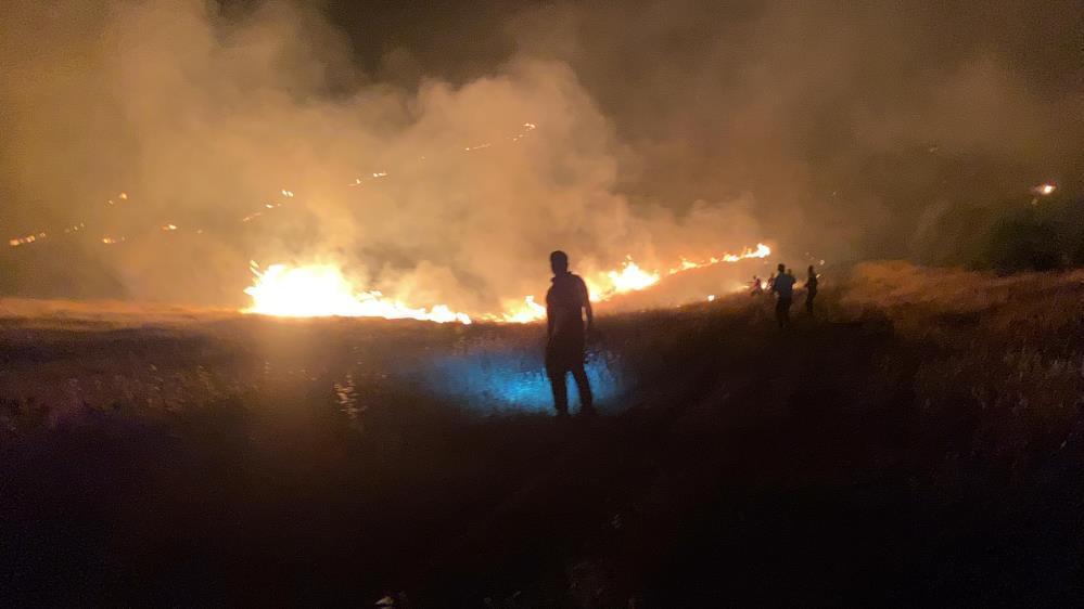 Şanlıurfa’da ormanlık alanda yangın