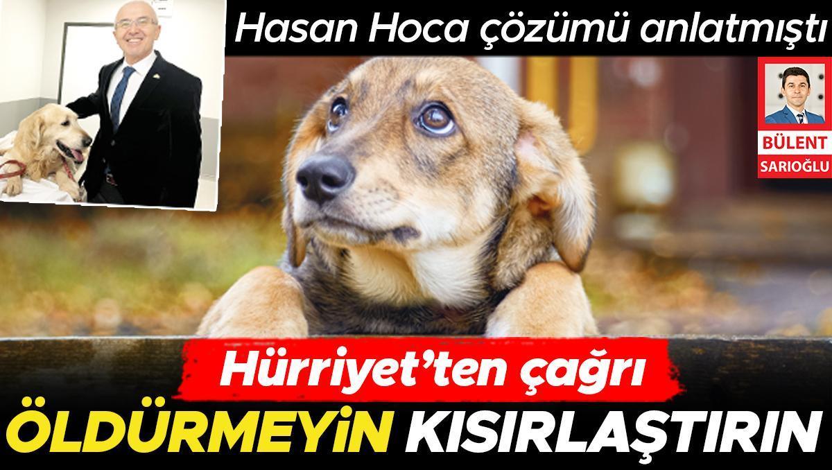 Sokak köpeklerini ‘uyutma’ hazırlığına karşı öneri: Kısırlaşsın yaşasın