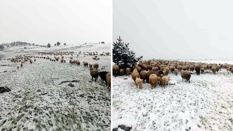 Tokat'ta Mayıs'ta kar sürprizi