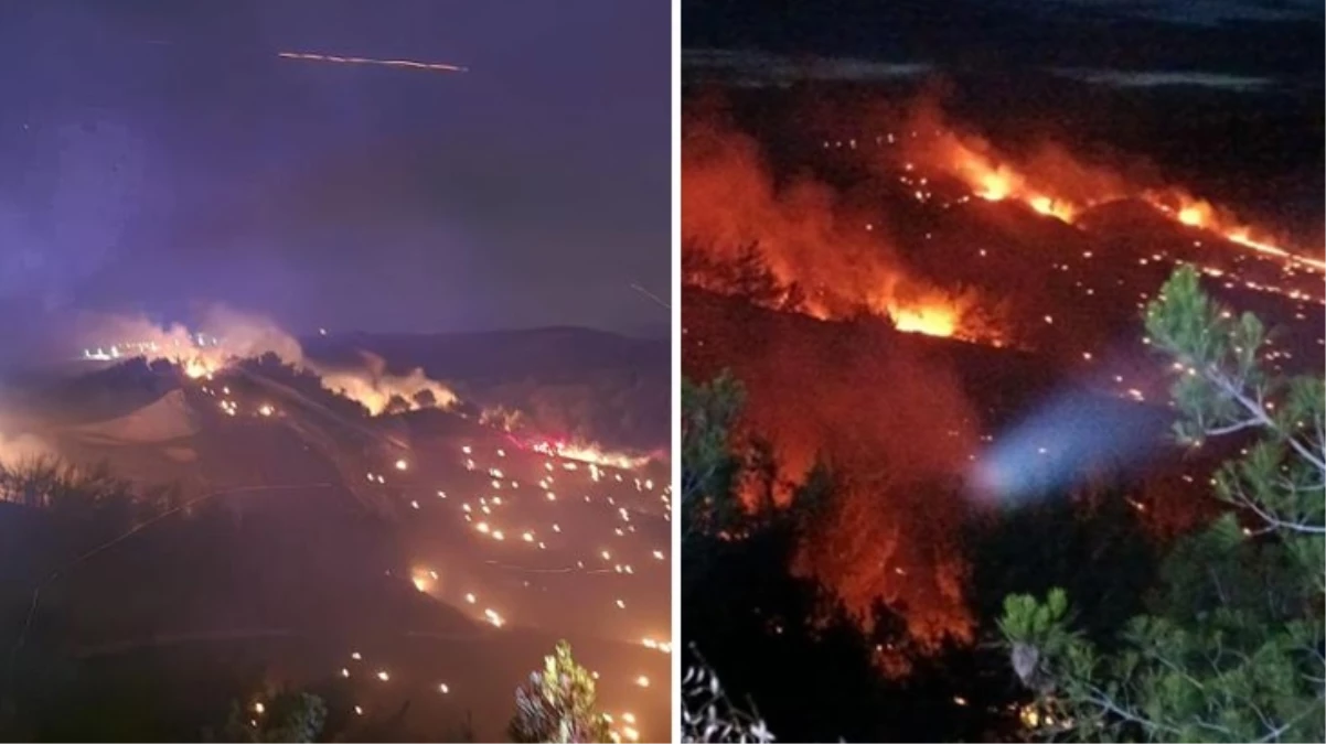 Adana'da korkutan orman yangını! Çok sayıda ekip sevk edildi