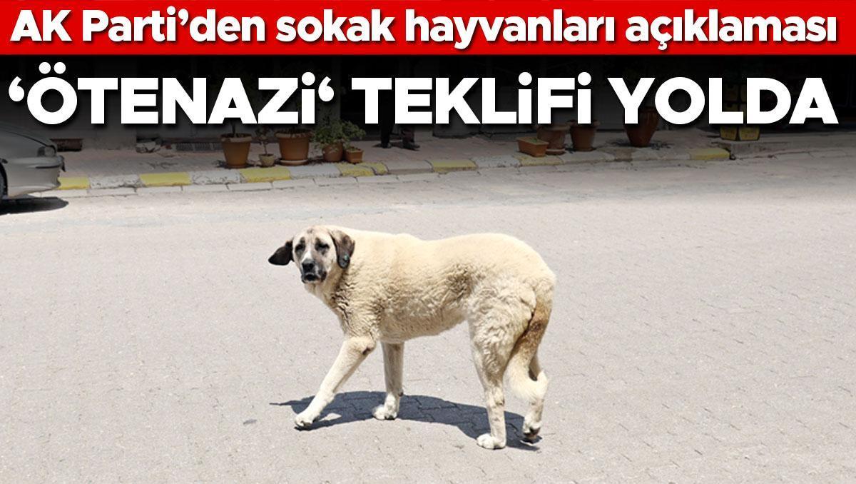 AK Parti’den sokak hayvanları açıklaması... ‘Ötenazi‘ teklifi yolda