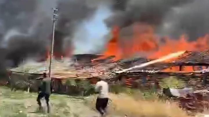 Ankara'da ahırda çıkan yangında 12 büyükbaş öldü