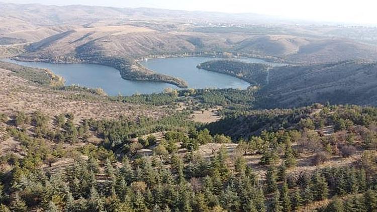 Ankara'da ormanlık alanlara giriş yasaklandı