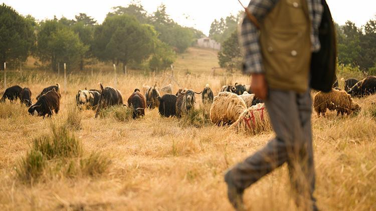 Arnavutköy'de feci olay! Kurban keserken kalp krizi geçirdi, bıçağın üzerine düşerek can verdi