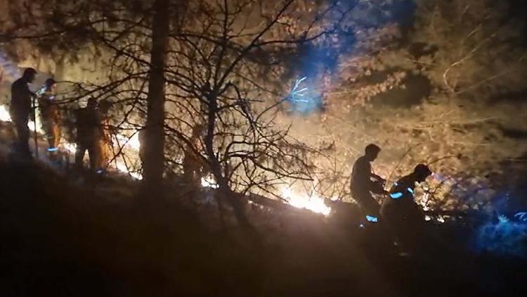 Aydın'da orman yangını: 6 saatte söndürüldü