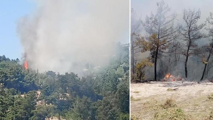 Balıkesir, Bursa, Denizli ve Diyarbakır'da alevlerle mücadele: Havadan ve karadan müdahale ediliyor