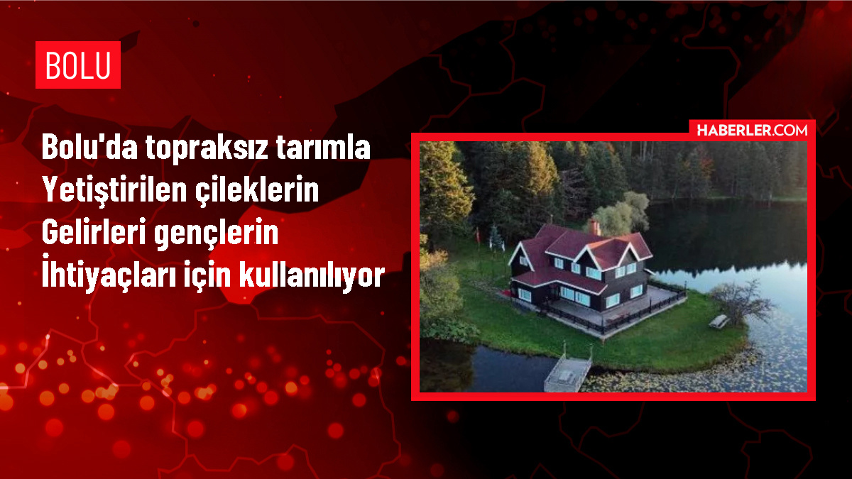 Bolu Gençlik Merkezi'nde Topraksız Tarımla Çilek Üretimi