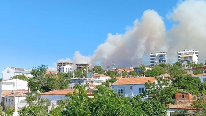 Çanakkale ve İzmir'de orman yangını: Havadan ve karadan müdahale... Elazığ'daki yangın kontrol altında