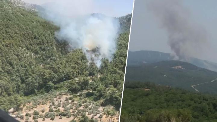 Çanakkale ve Muğla orman yangını! Havadan ve karadan müdahale ediliyor